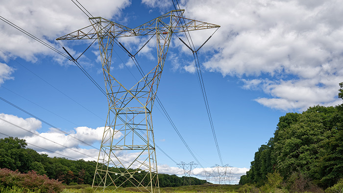High‑voltage transmission towers and power lines running across a grassy field with trees and a partly cloudy sky