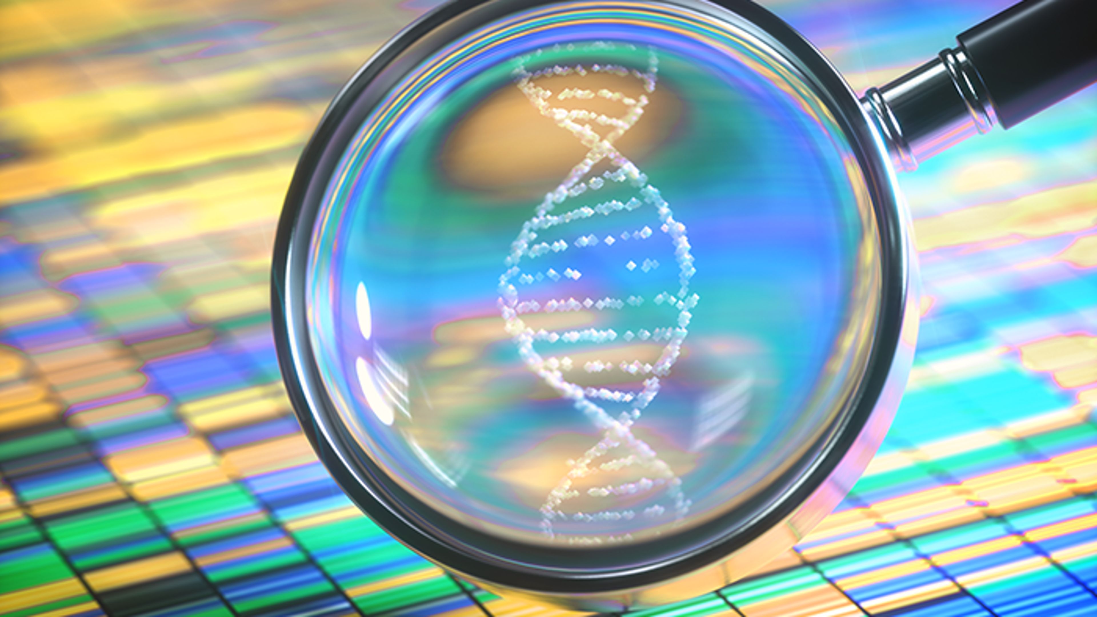 Unprecedented genetic gains are driving record milk components