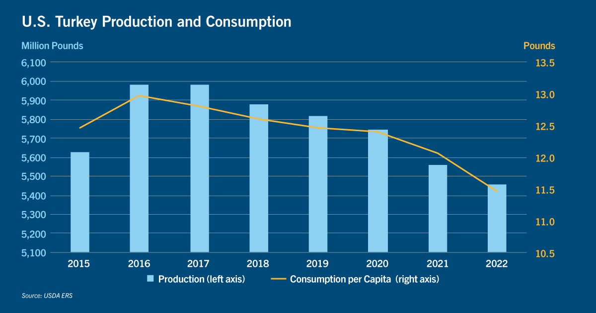 Turkey-Production.png