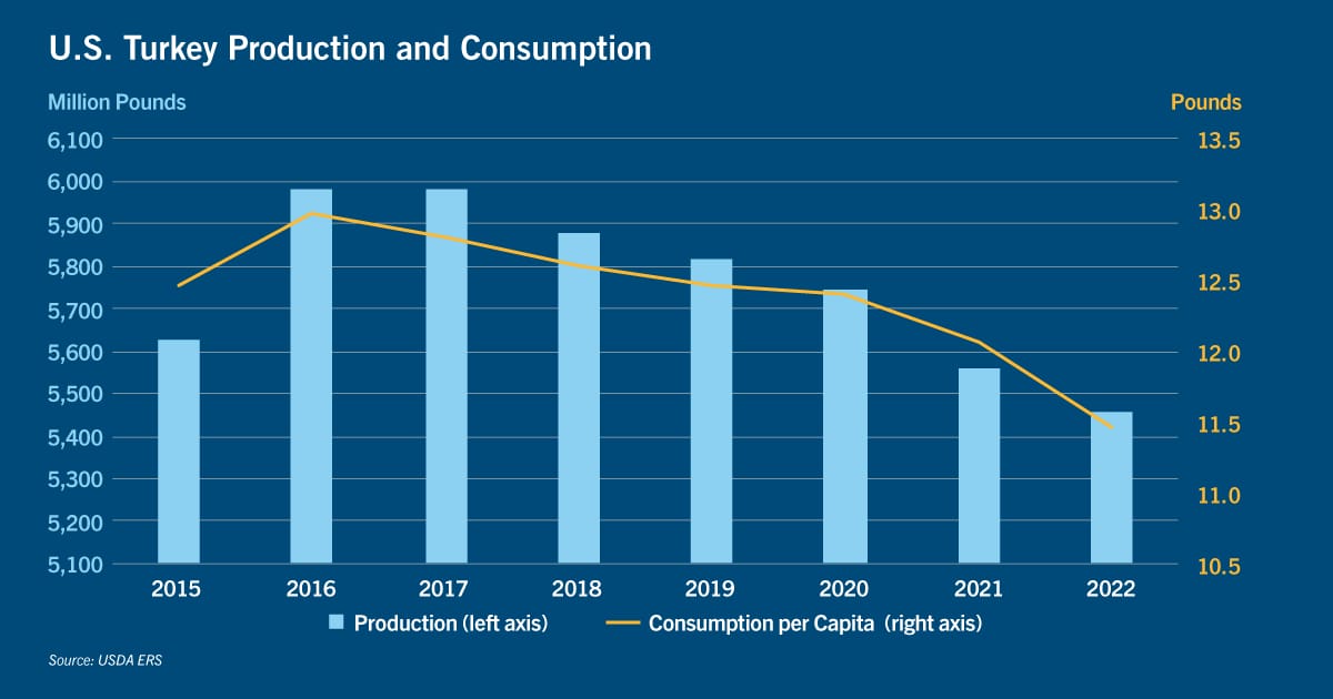 Turkey-Production.png