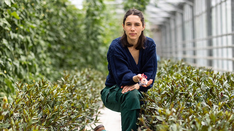 Woman kneeling in a greenhouse