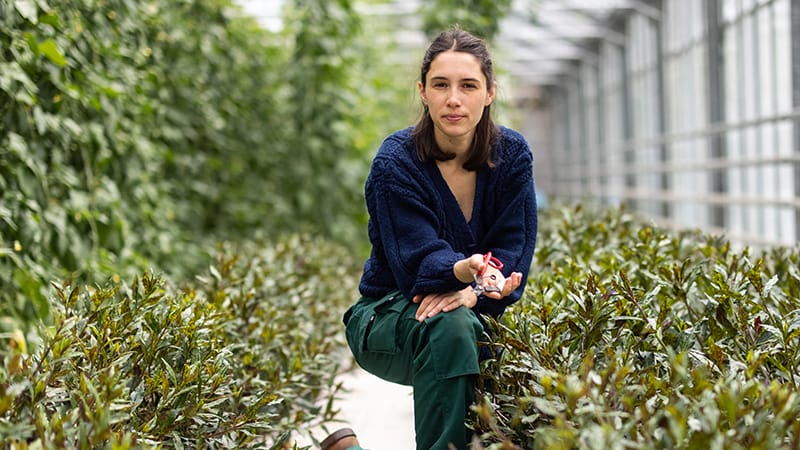 Woman kneeling in a greenhouse