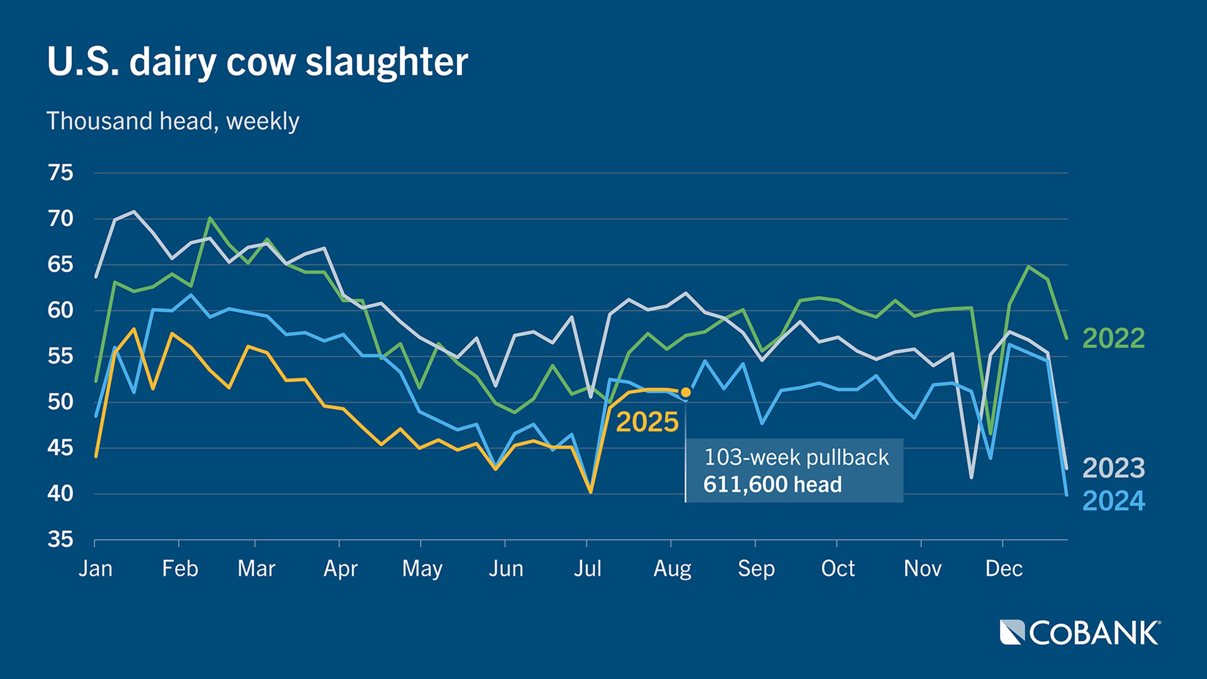 Chart of U.S. dairy cow slaughter