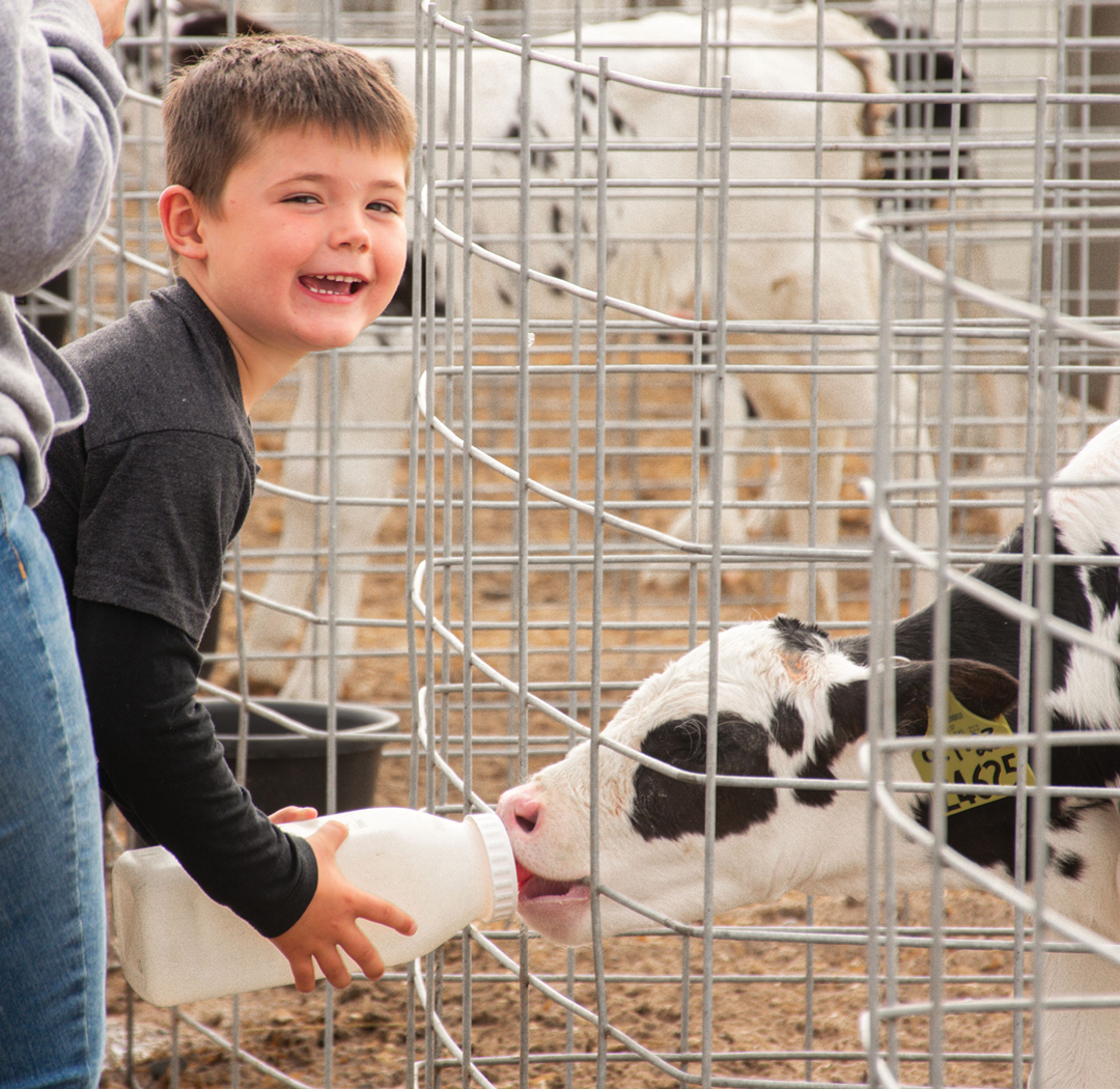 Sharing Success: Caledonia Farmers Elevator