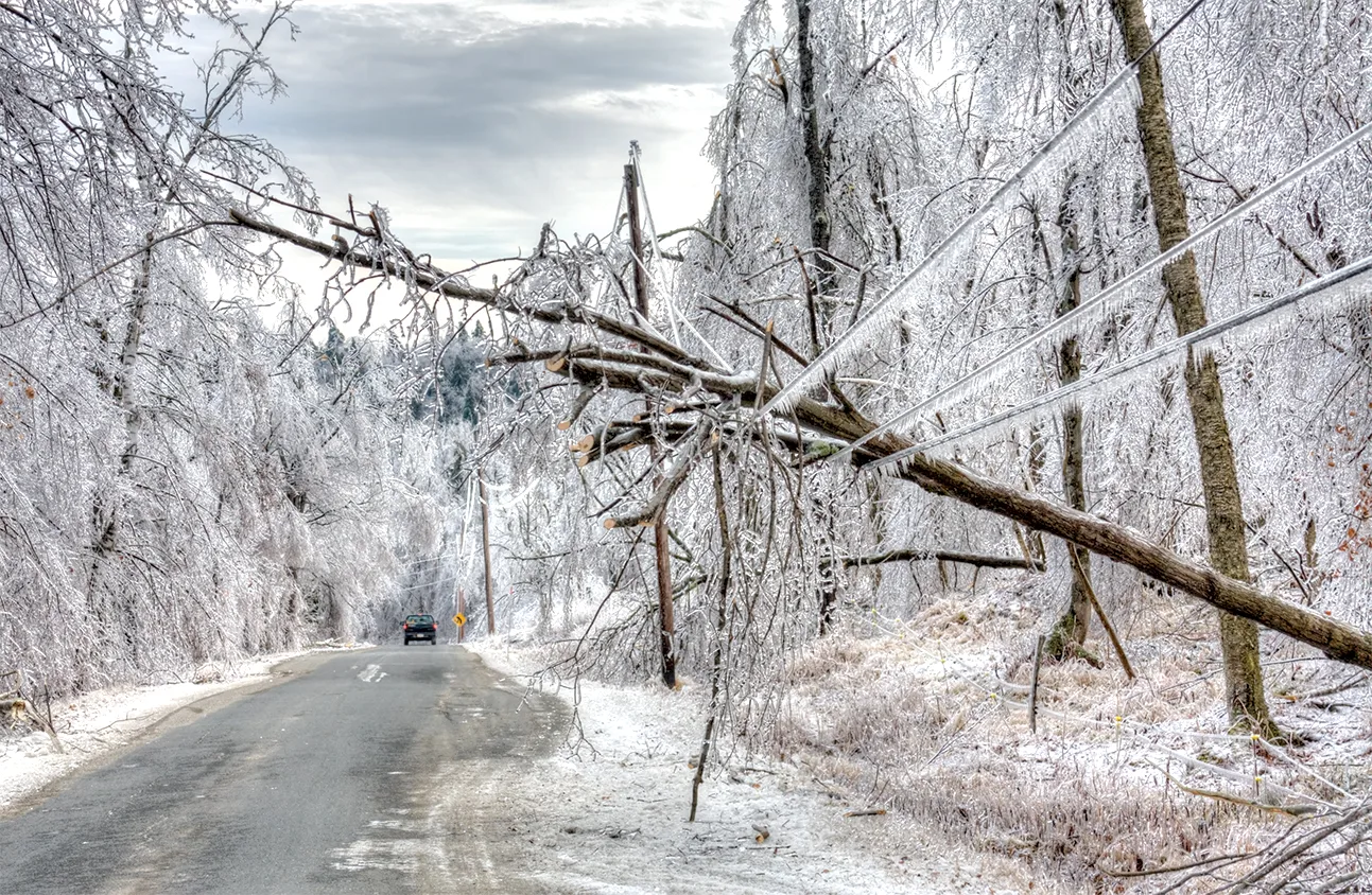 Downed power lines on an icy rural road