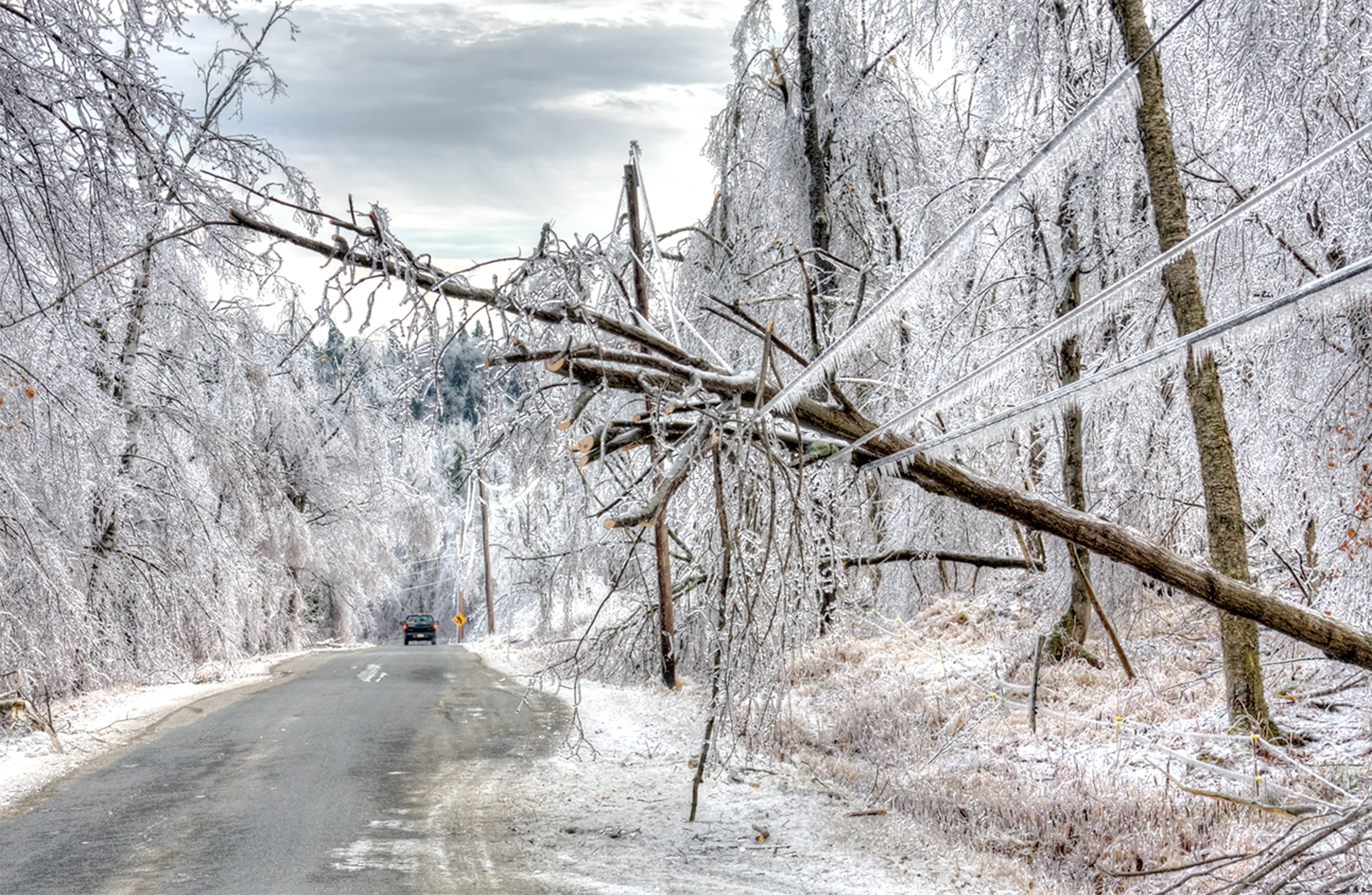 Downed power lines on an icy rural road