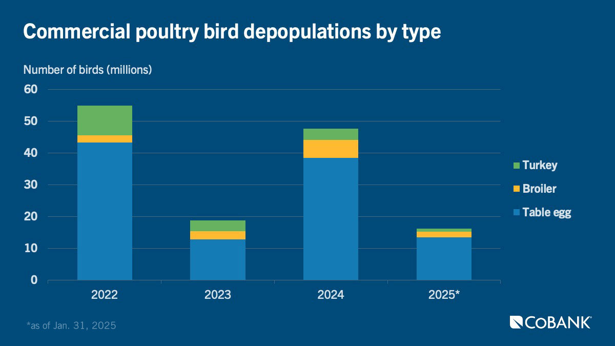 Chart: Commercial poultry bird depopulations by type