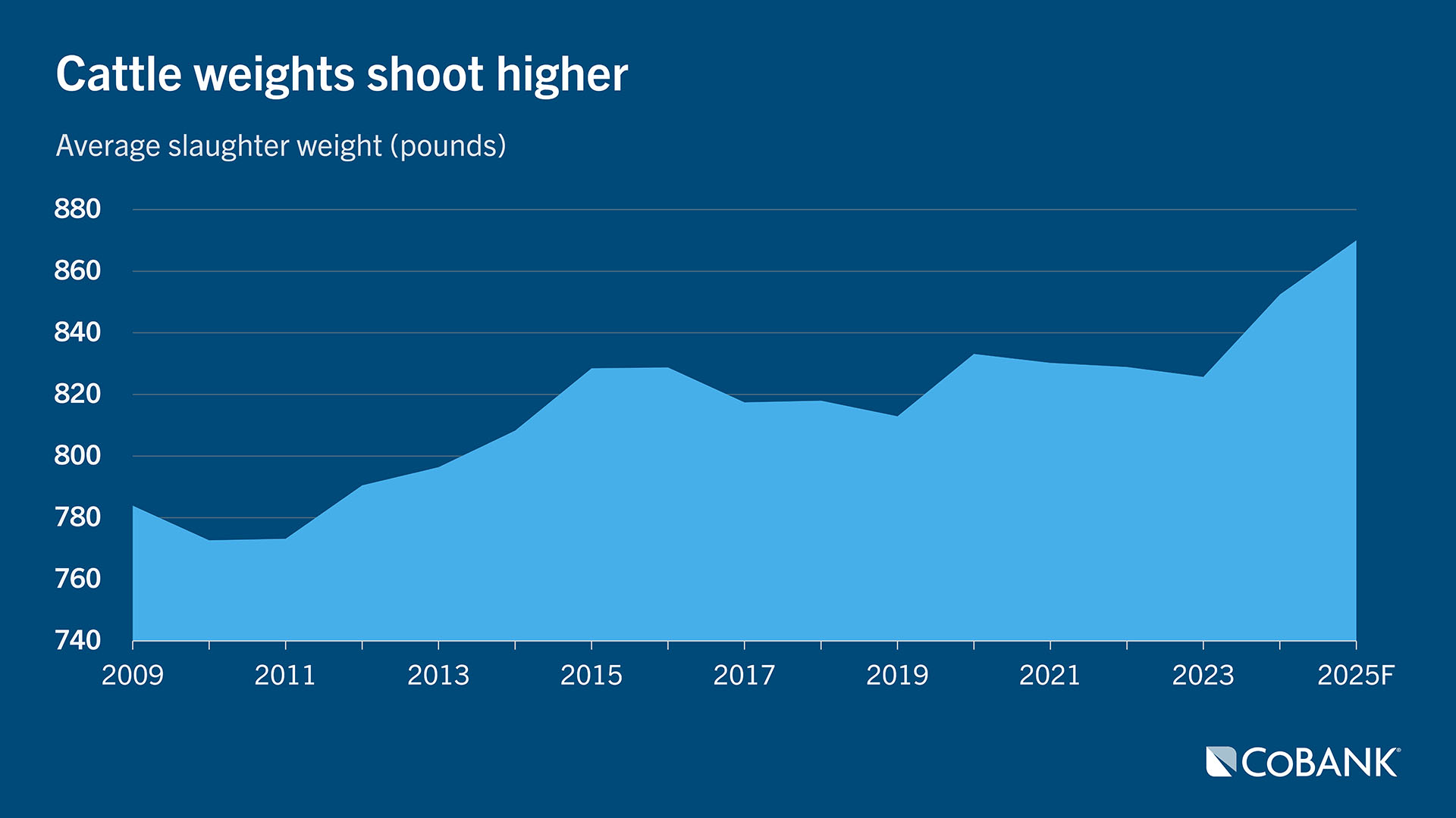 Chart: Cattle weights shoot higher