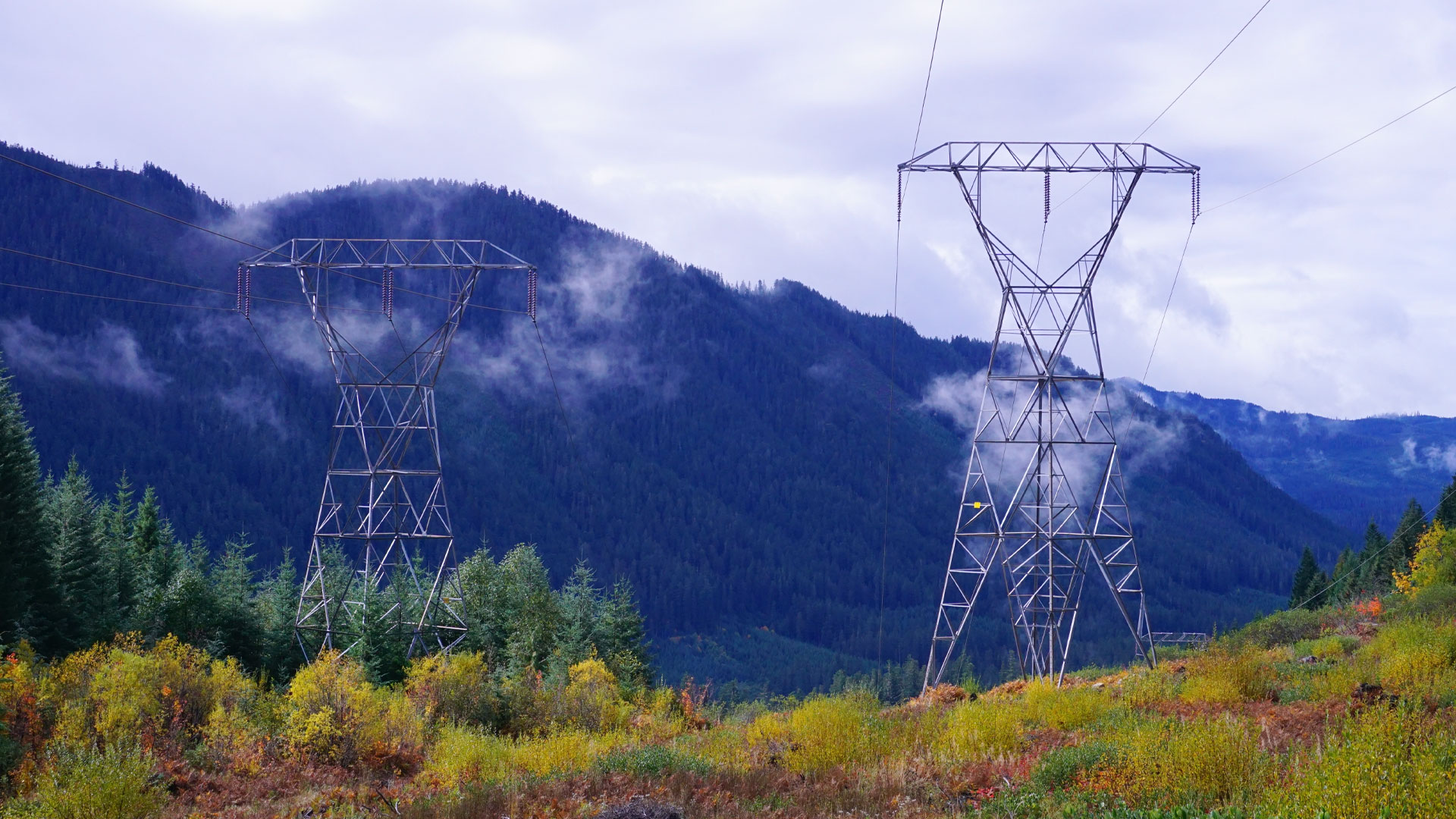 High‑voltage transmission towers crossing a forested, mountainous landscape, with power lines stretching across rural terrain.