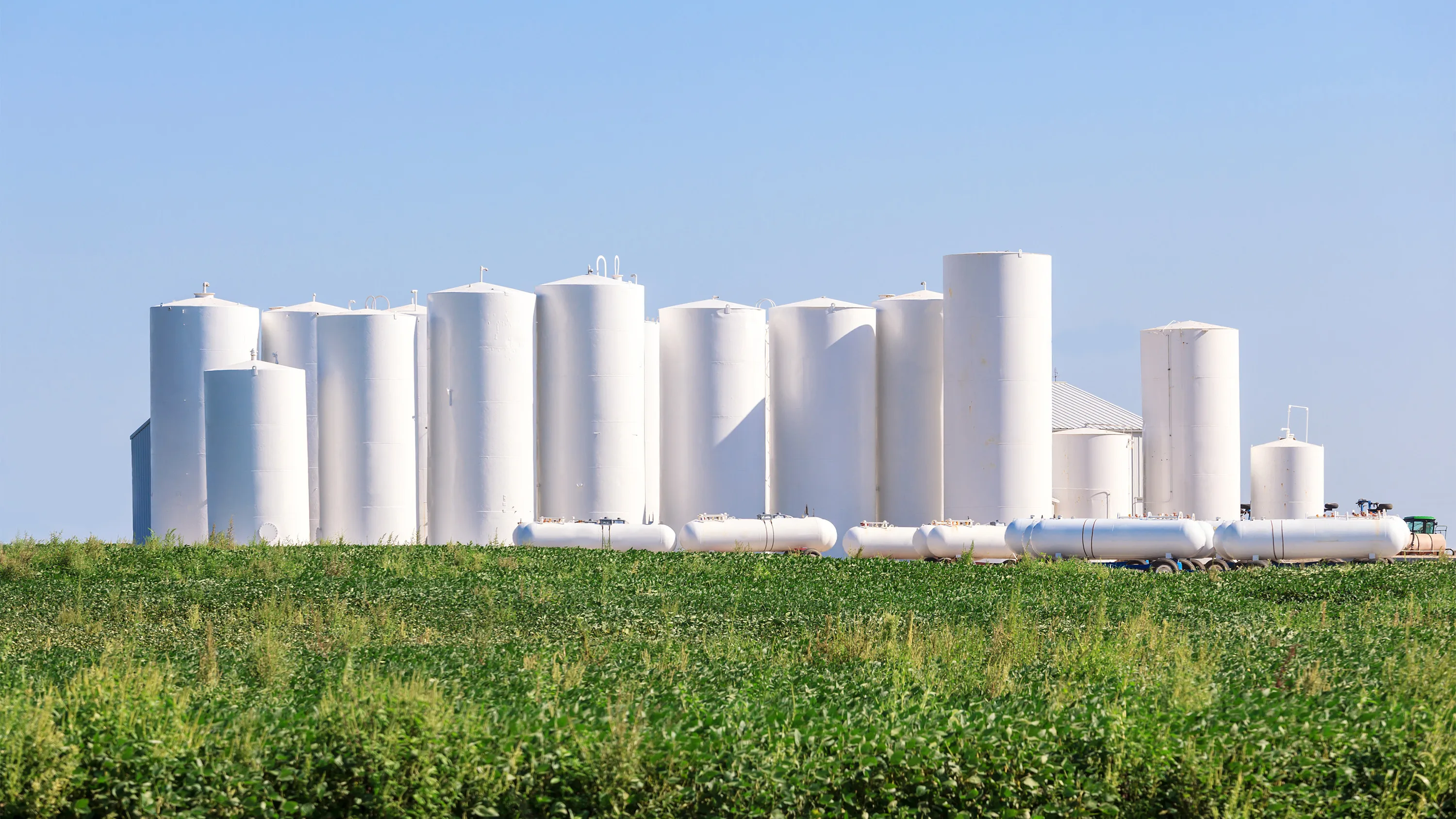 green field with group of white silos and blue sky