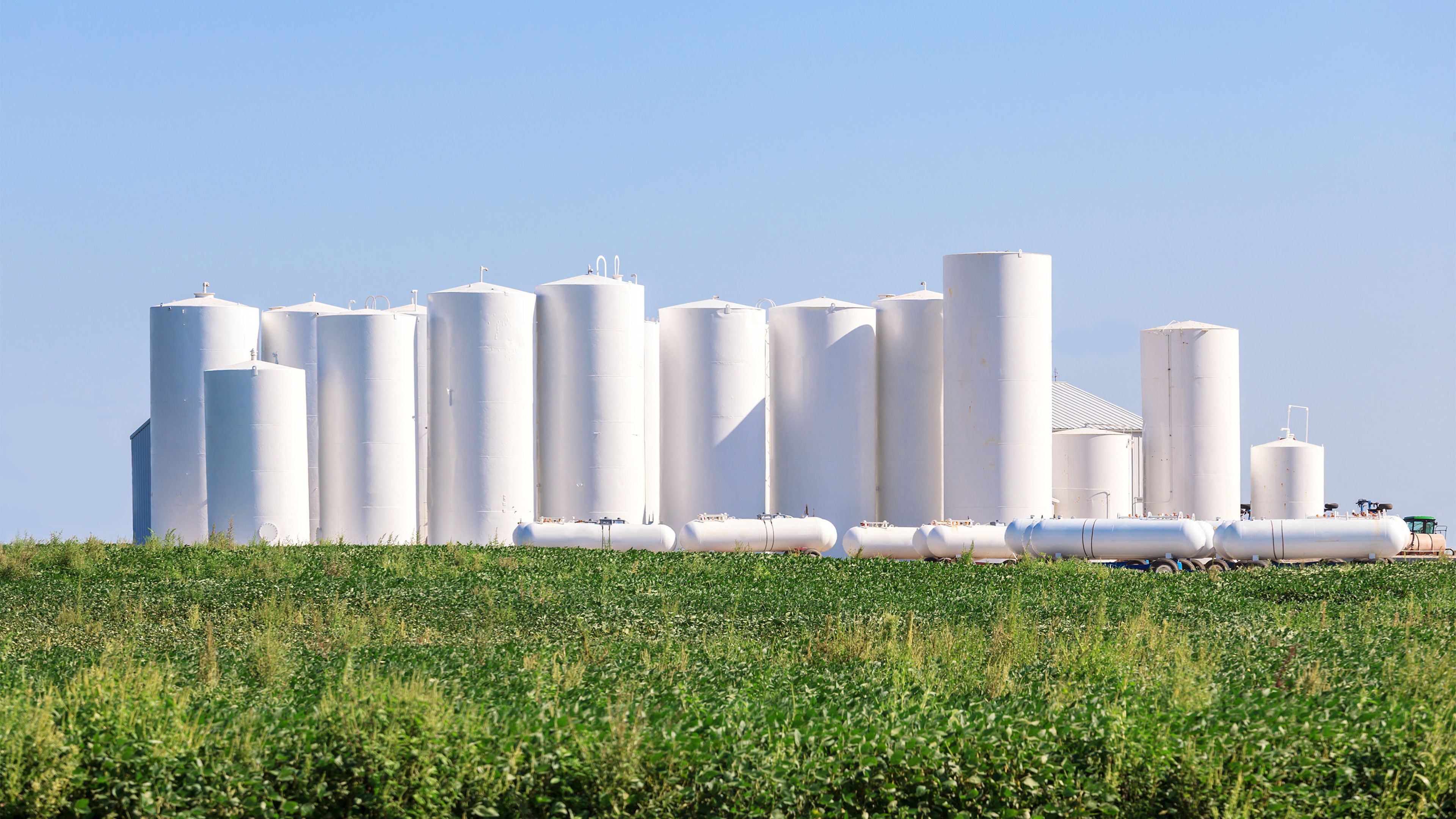 green field with group of white silos and blue sky