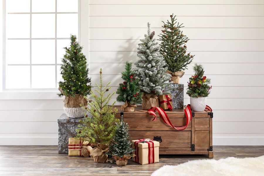 Display of Short Christmas Trees