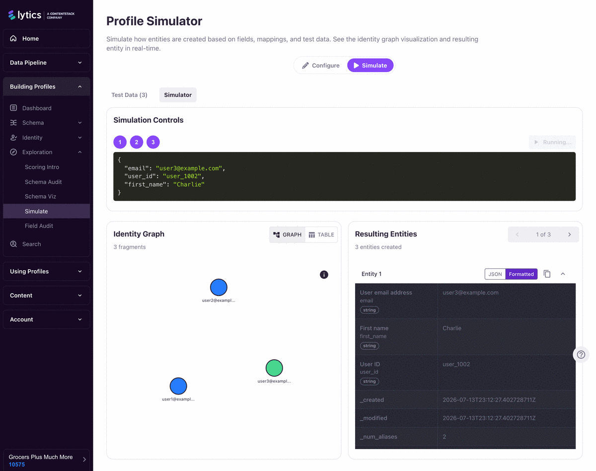Profile Simulator showing step analyses and graph output.