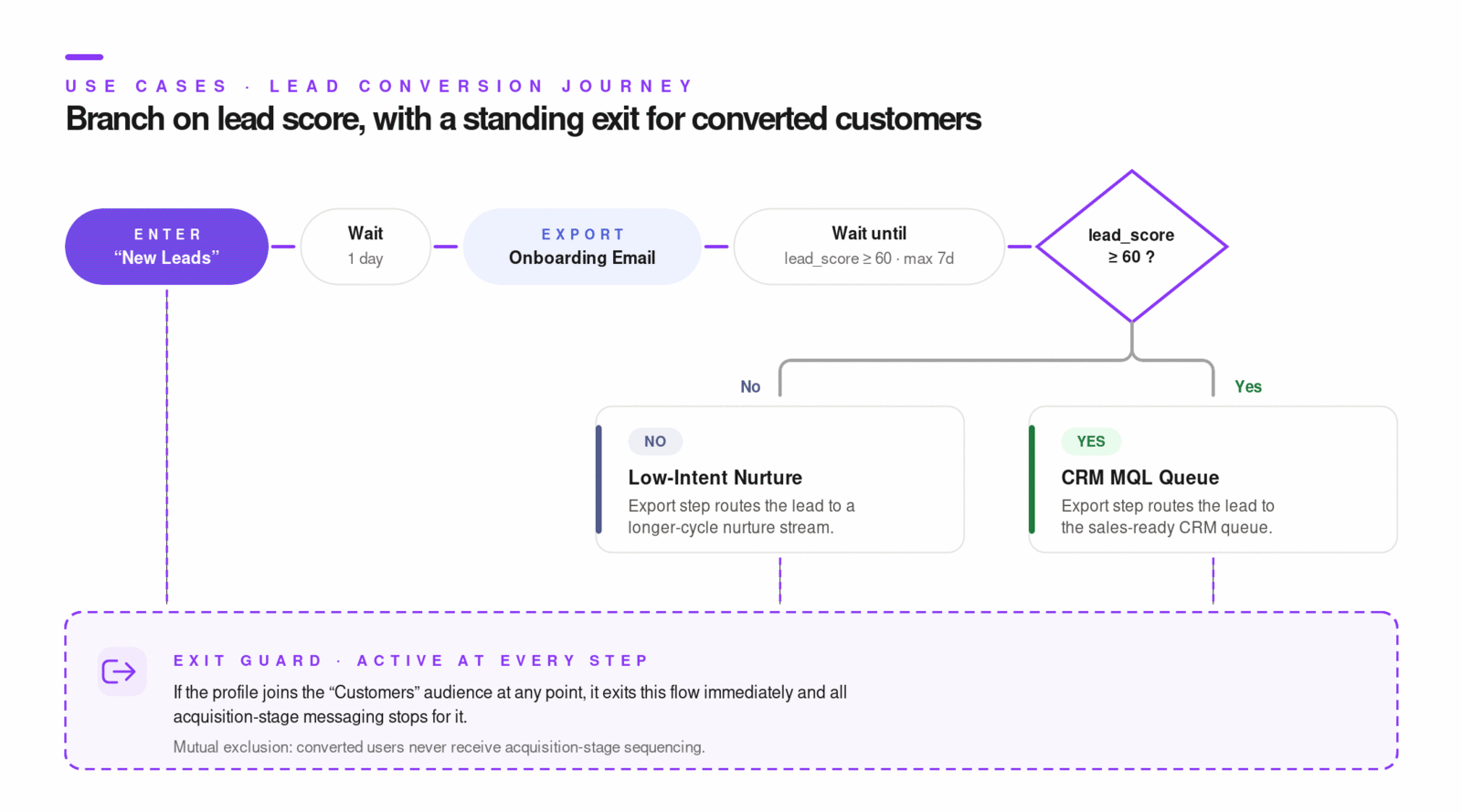 Lead conversion journey with flow branches and conversion audience exit, configured in the Flows UI.