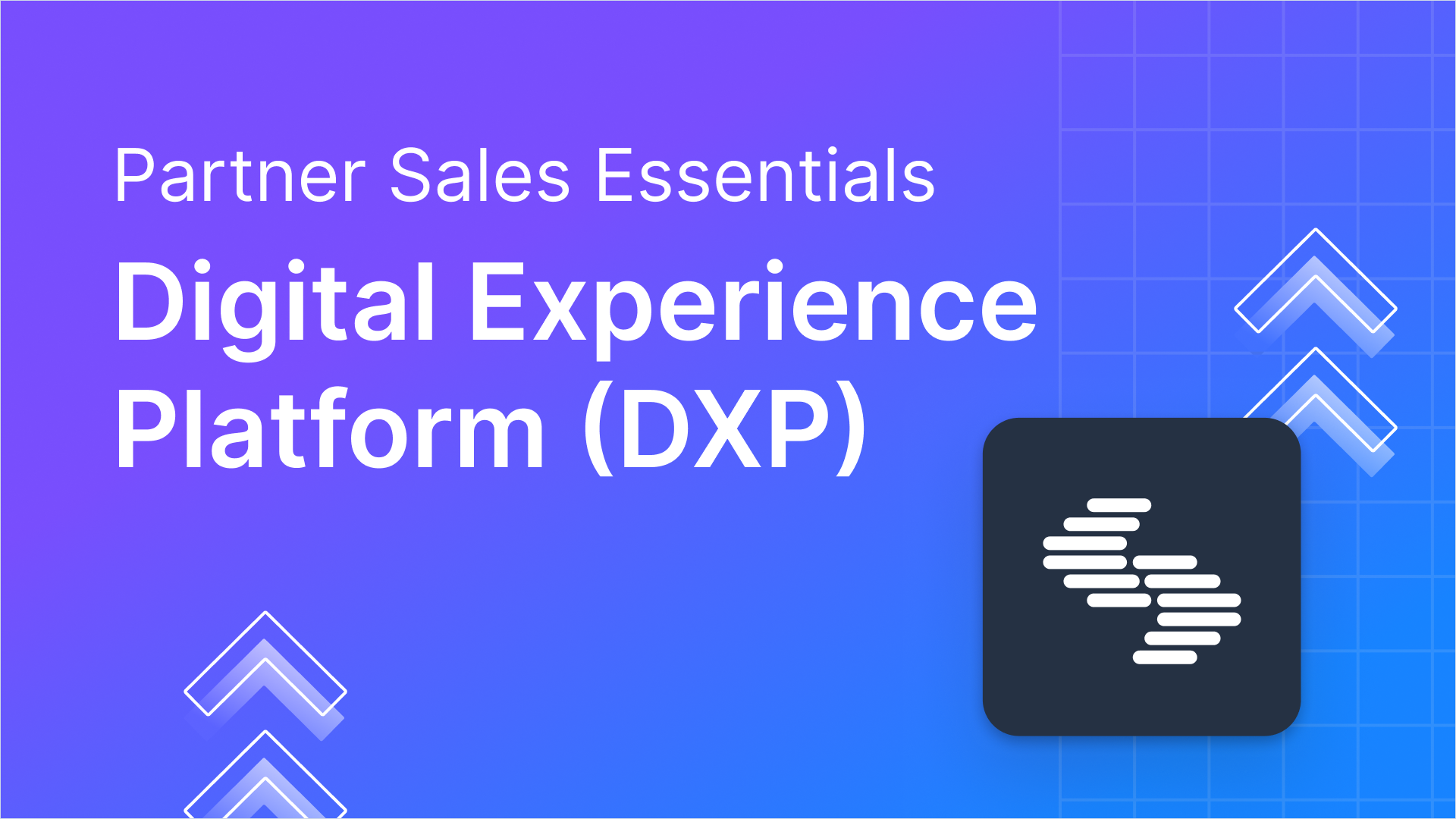 Digital Experience Platform (DXP)