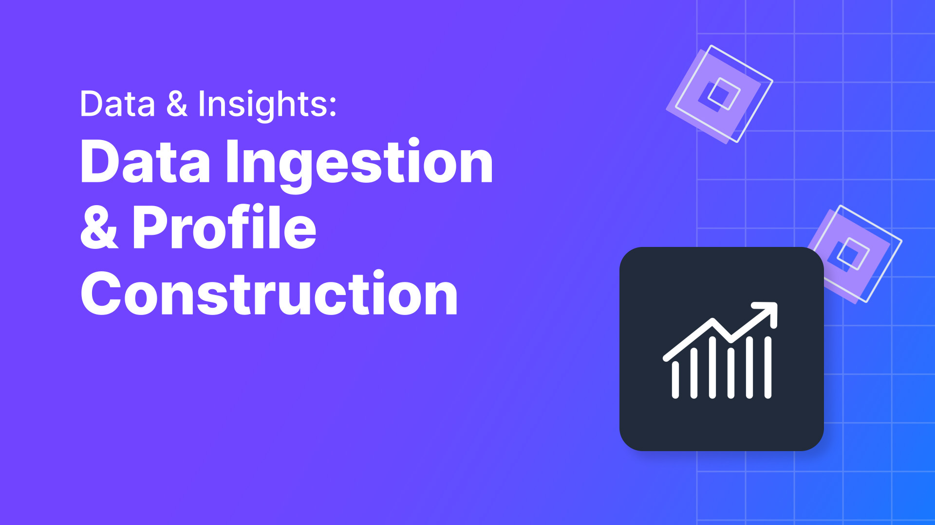 Data Ingestion & Profile Construction