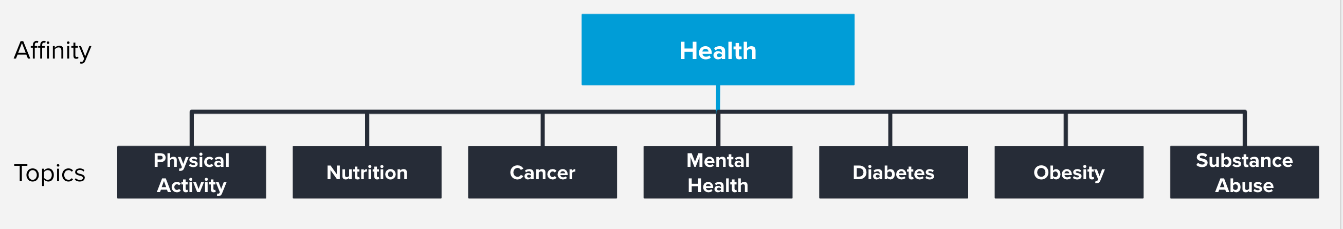 health-affinity-topics-example2.png
