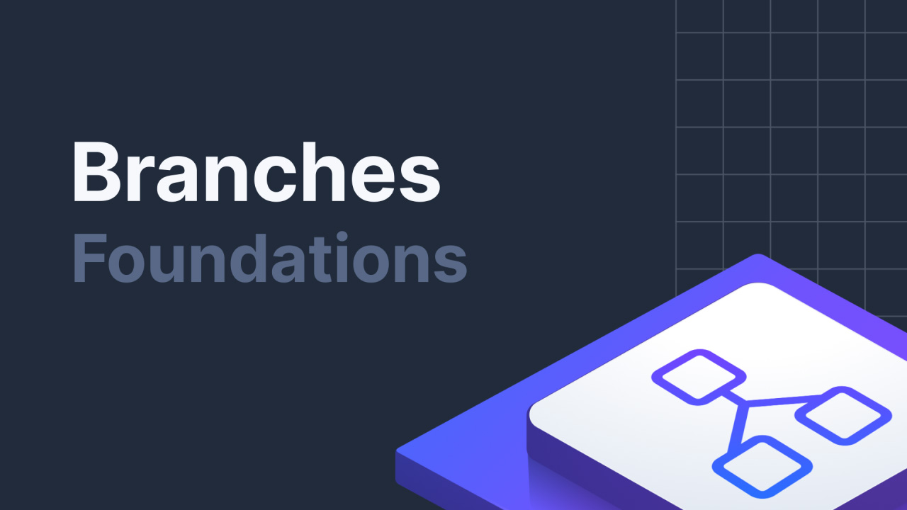 Branches Foundations