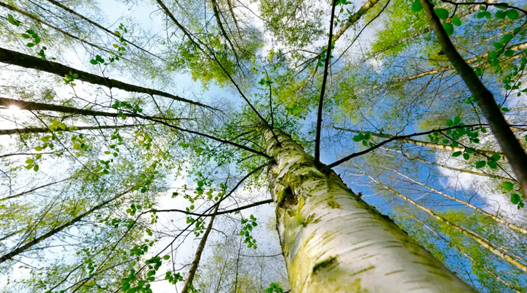 cómo aprender ingles rápido