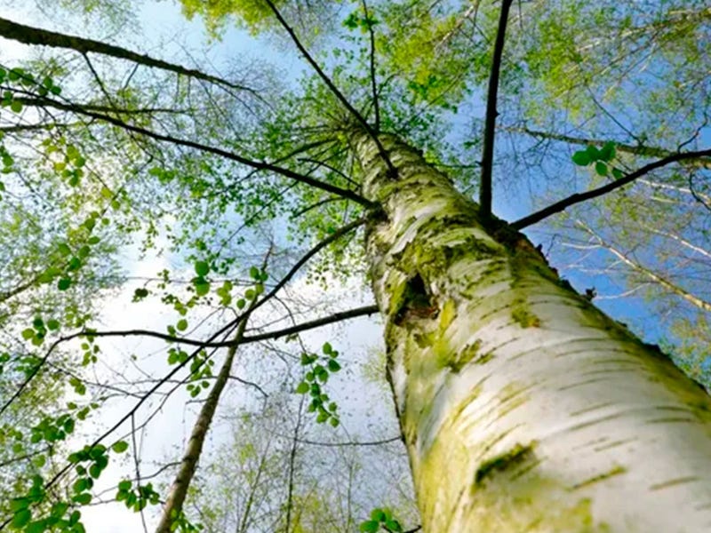 cómo aprender ingles rápido