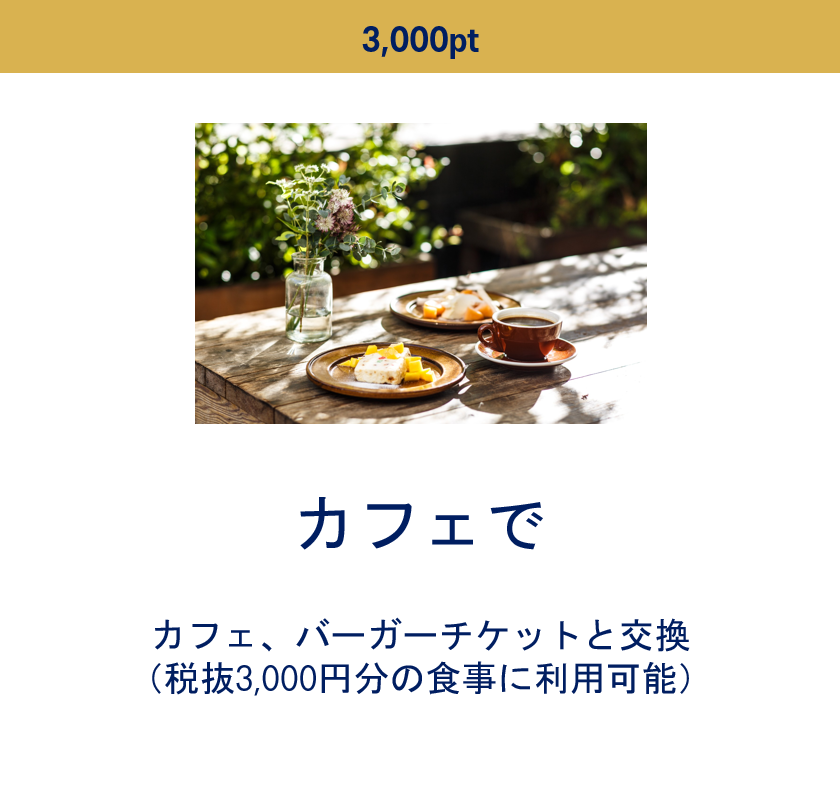 3,000ポイントで交換