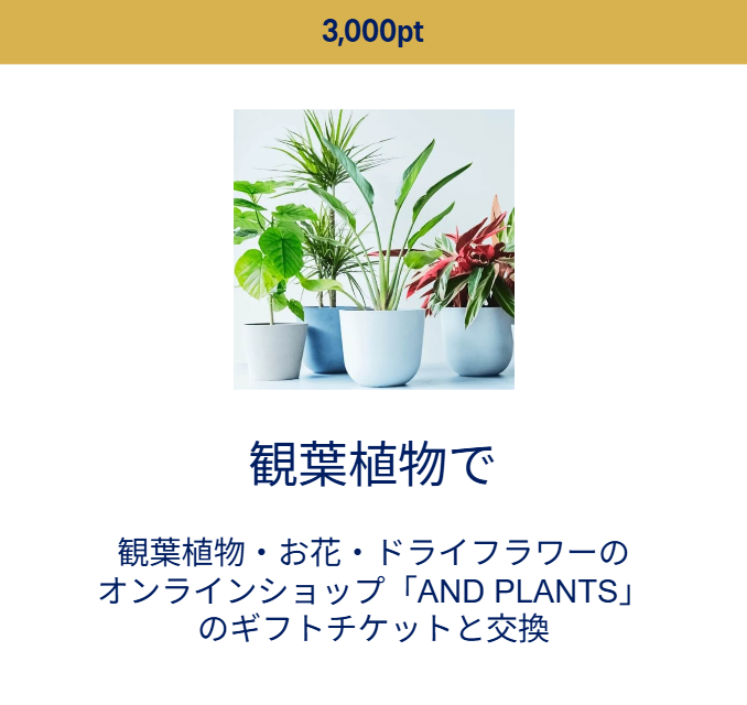 3,000ãã€ã³ãã§äº€æ