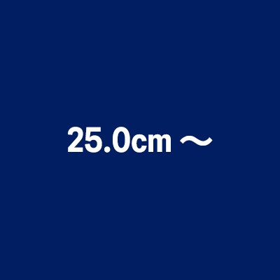 25.0cm～