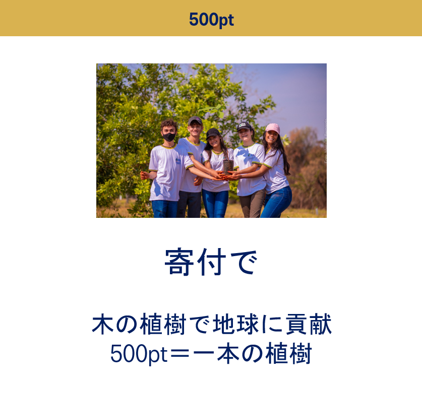 500ptで交換