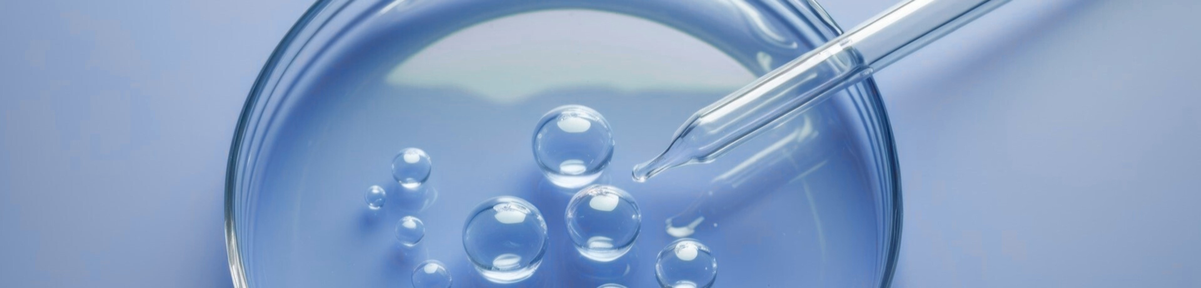 Discover Our Ingredients