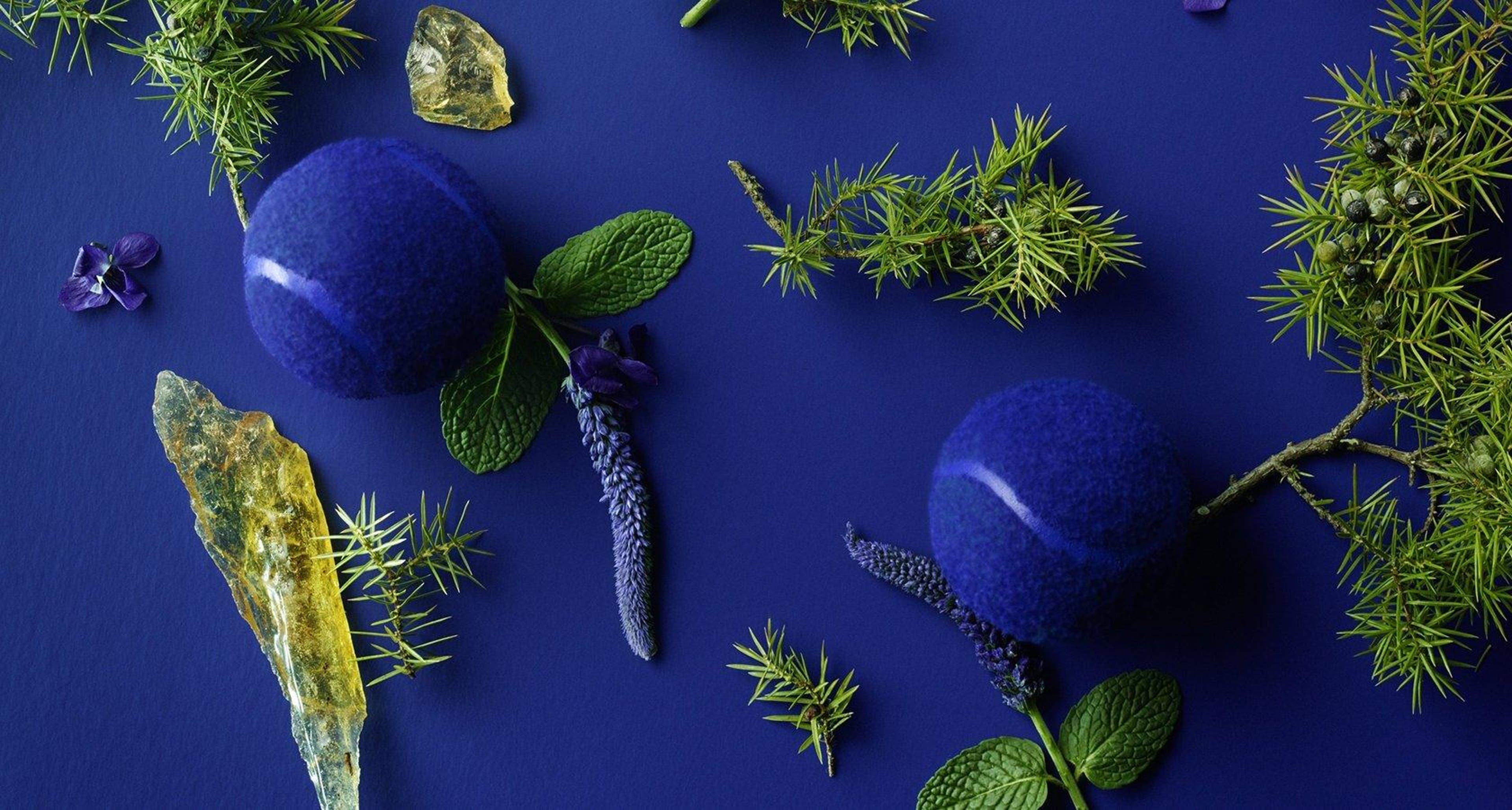 Botanical elements on a blue background