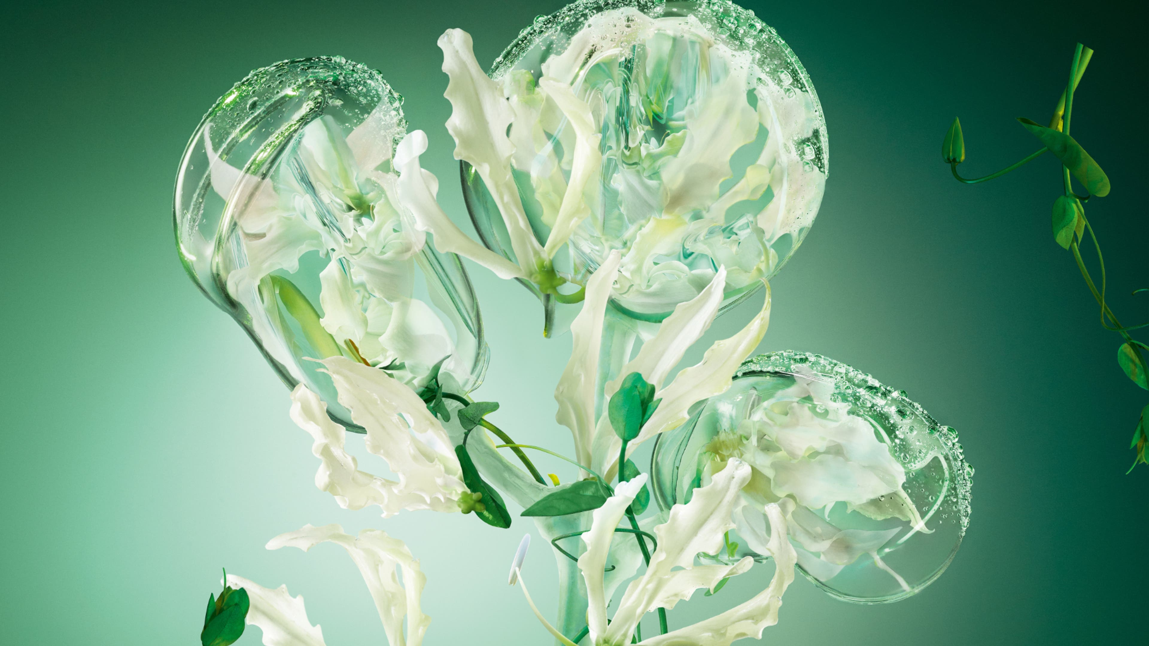 Green abstract image of translucent bubbles interwoven with delicate, white flowers on a gradient green background