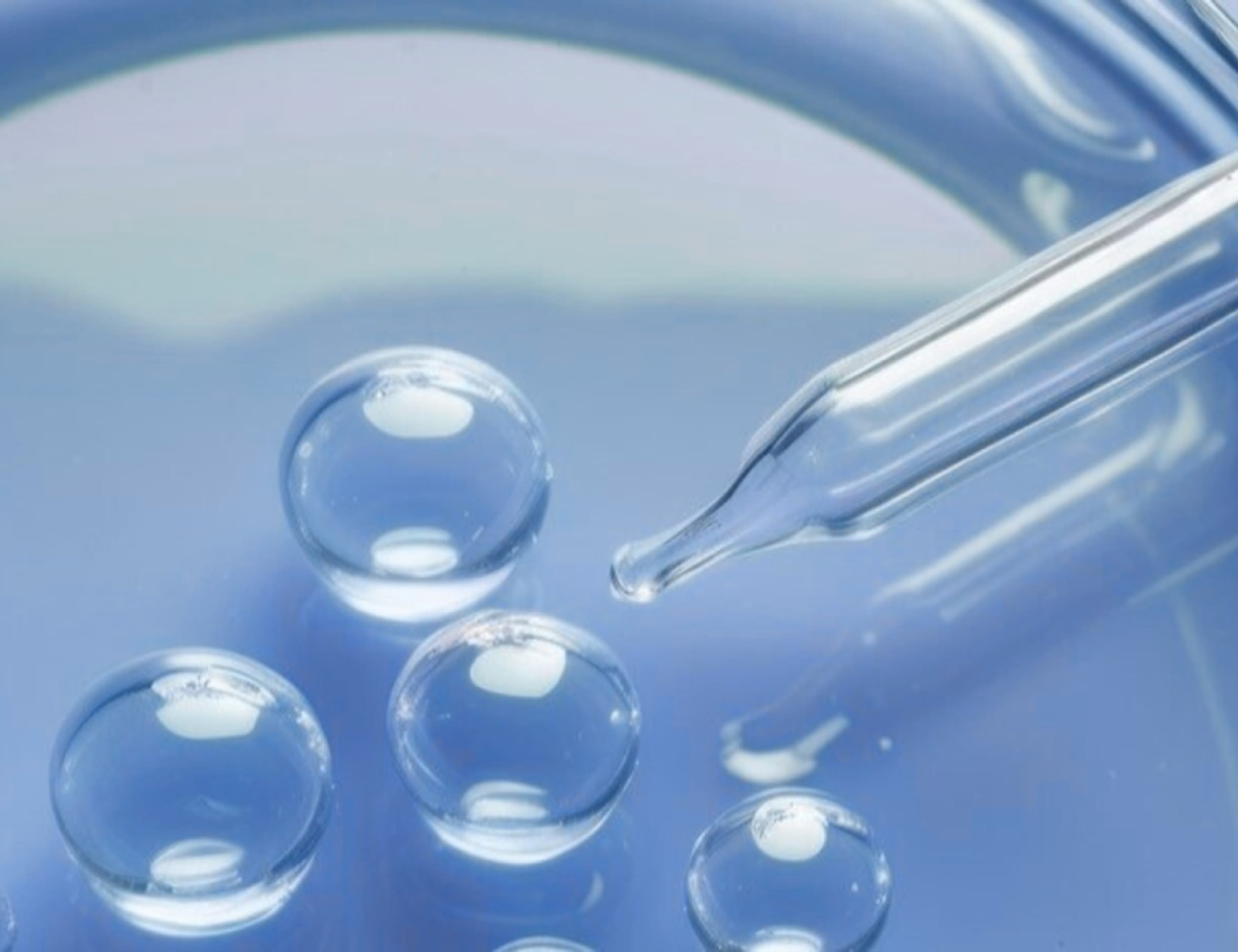 Discover Our Ingredients