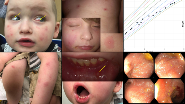 North American Image Competition Winner