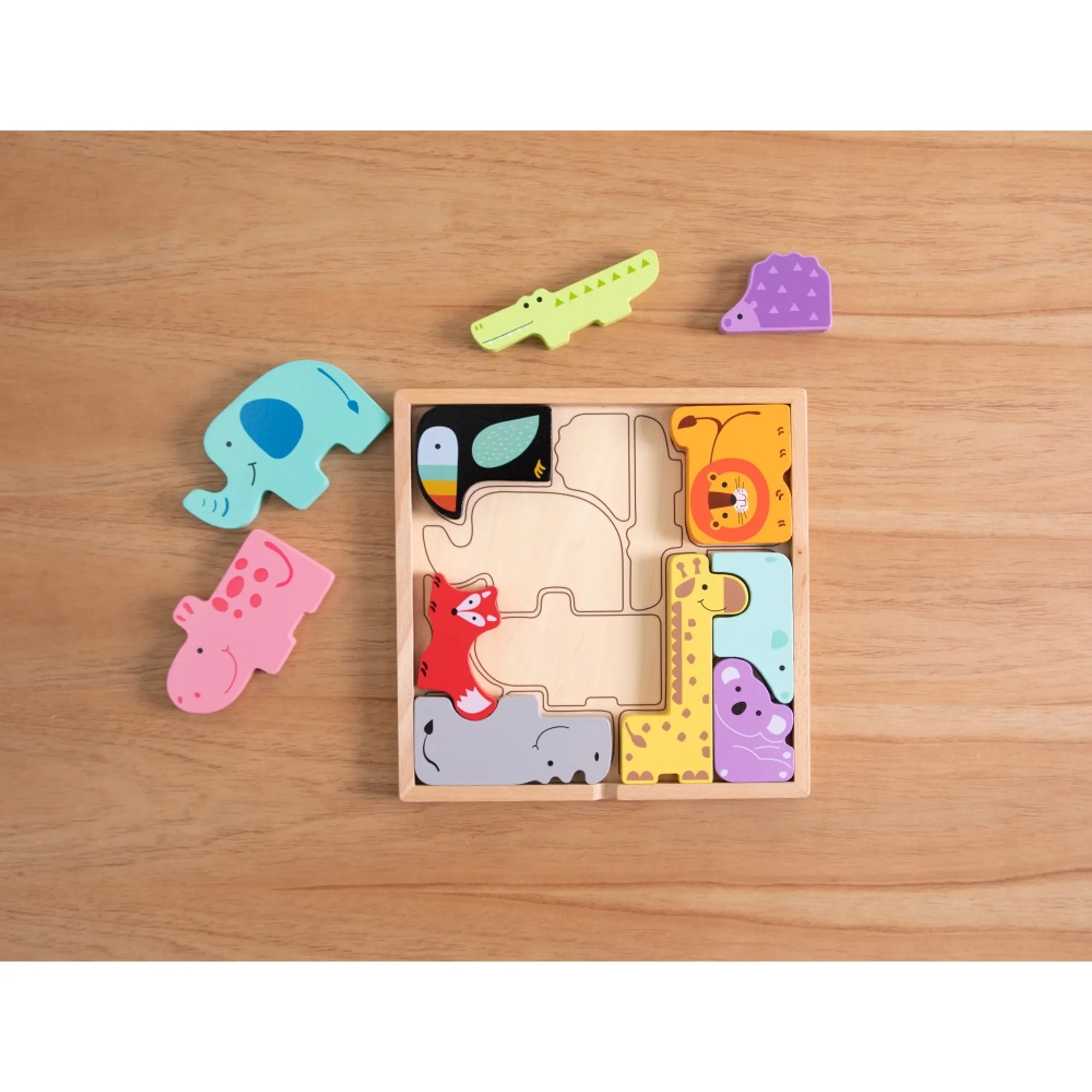 Puzzles Toys