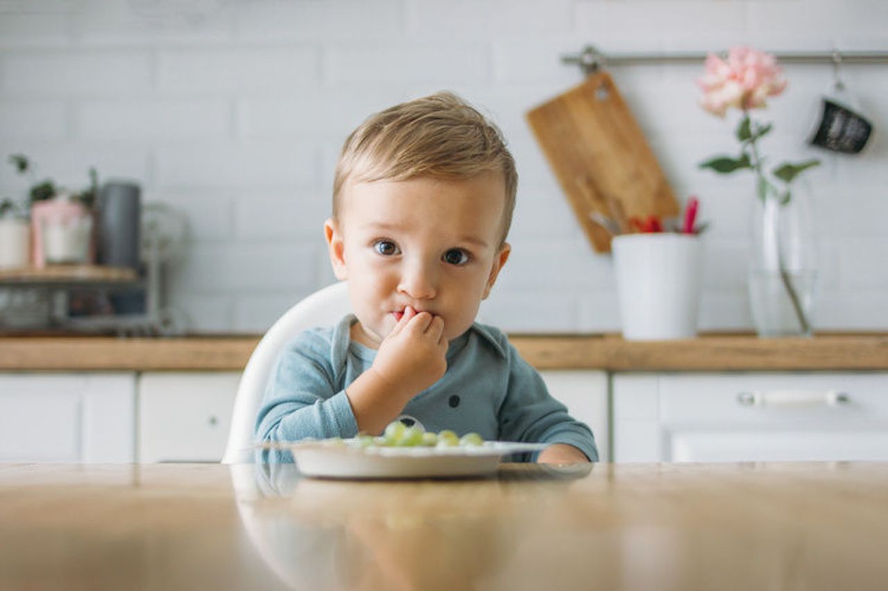 Description for babytalk image code ways-to-minimise-choking-hazards-around-the-home