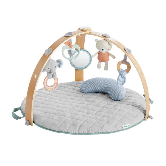 Baby Play Gyms