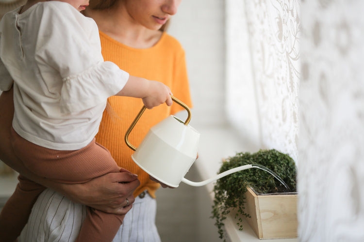 Can I Keep Houseplants Around My Newborn?