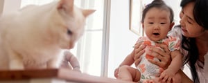 Pets and your baby
