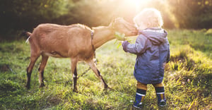Toddler safety on rural properties