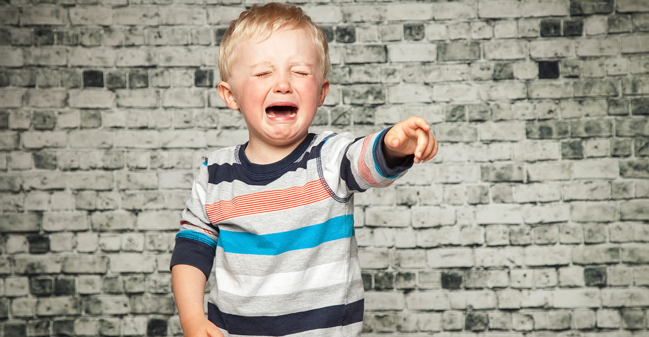 Description for babytalk image code understanding-and-managing-temper-tantrums