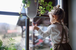 Toddlers and Mental Health