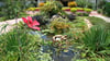 Decorative garden pond surrounded by lush green plants, lily pads, rocks, and a large red flower, with landscaped walkways and colorful foliage in the background.