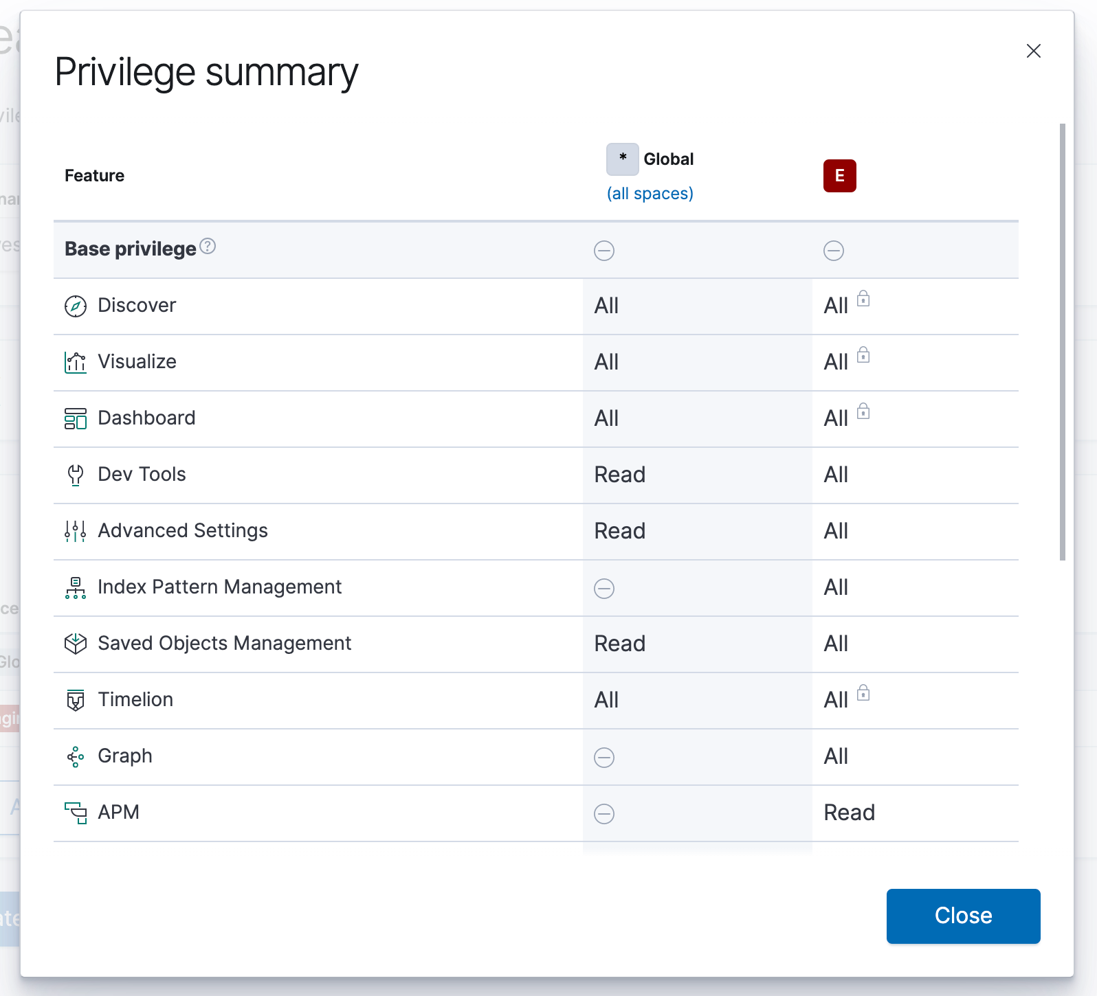 Security privilege summary