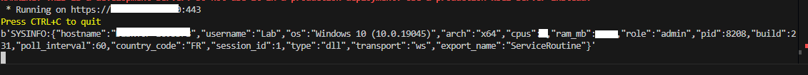 TELEPUZ JSON beacon message to C2 containing hostname, username, OS version, architecture and system information