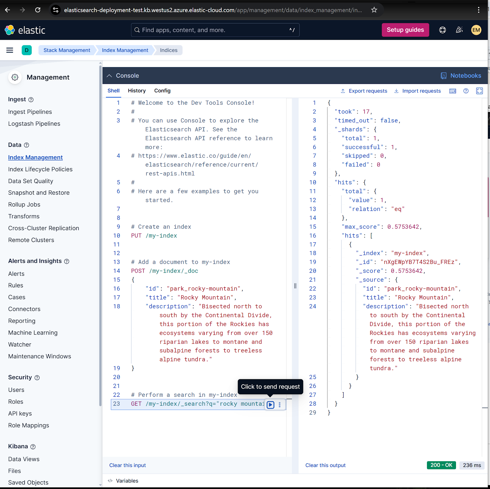 What the deployment of Elastic Cloud via Azure marketplace looks like with coding.