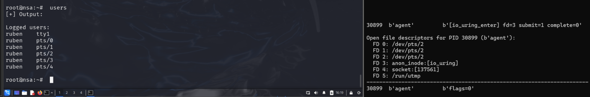 Figure 8: RingReaper users' command