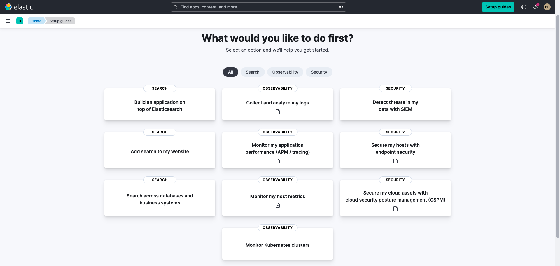 Screenshot of Elastic Enterprise Search and options for next steps