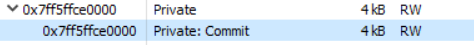 Memory page moves to PAGE_EXECUTE_READ