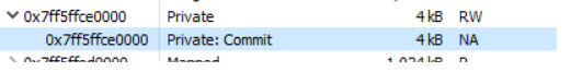 Initial memory page showing memory not committed